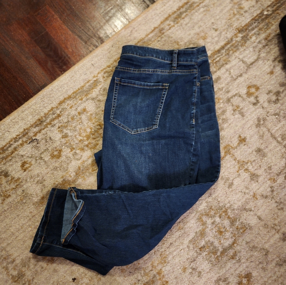 Lane Bryant Denim